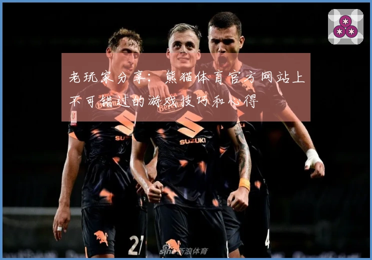 老玩家分享：熊猫体育官方网站上不可错过的游戏技巧和心得